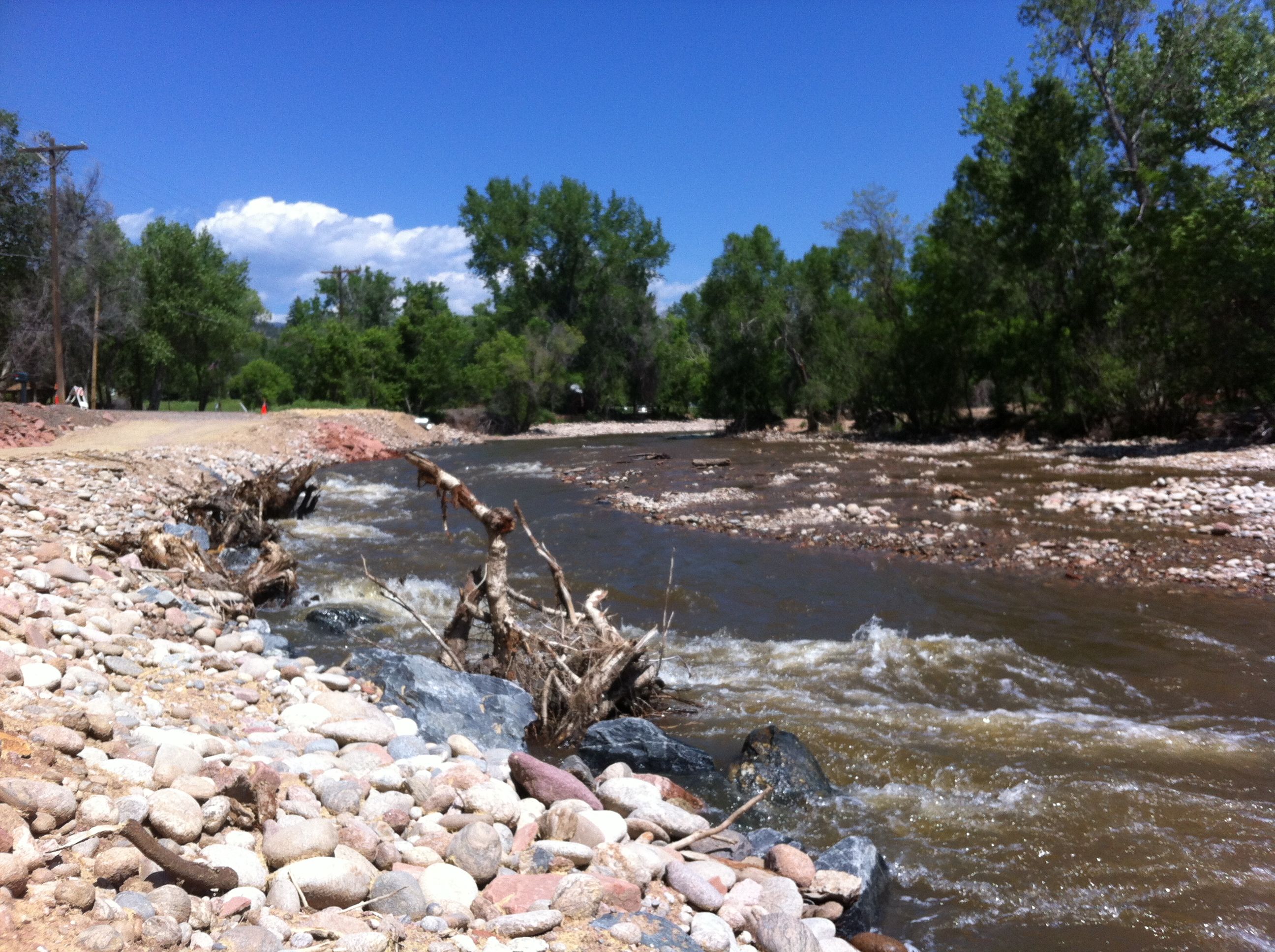 Root Wads N St Vrain creek